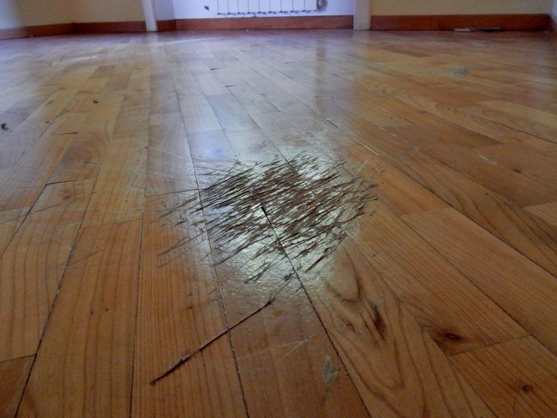 Hickory Floor Refinishing in Olathe, KS